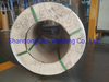 Low Carbon Steel Wire/Cold-Drawn Wire Rod/High Tensile Strength 304 Half Hard Stainless Steel Wire (EPQ)