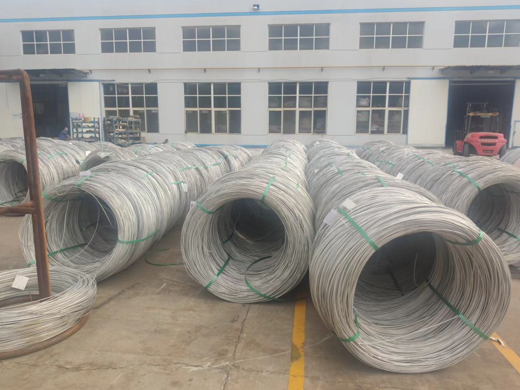 Low Carbon Steel Wire/Cold-Drawn Wire Rod/High Tensile Strength 304 316 Half Hard Stainless Steel Wire (EPQ)