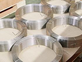 Stainless Steel Wire