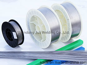 Cold Heading Hardware Stainless Steel Spring Wire with Mesh Ce Certificate